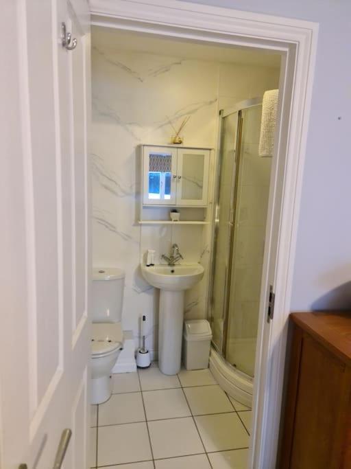 City Centre Top Floor Apartment In Belfast City Centre Eksteriør bilde